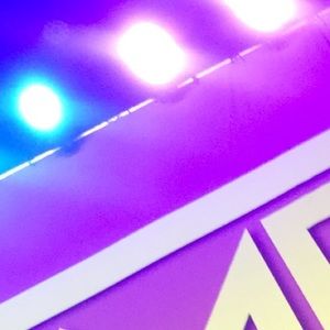 Meet your Posher, Cheyenne